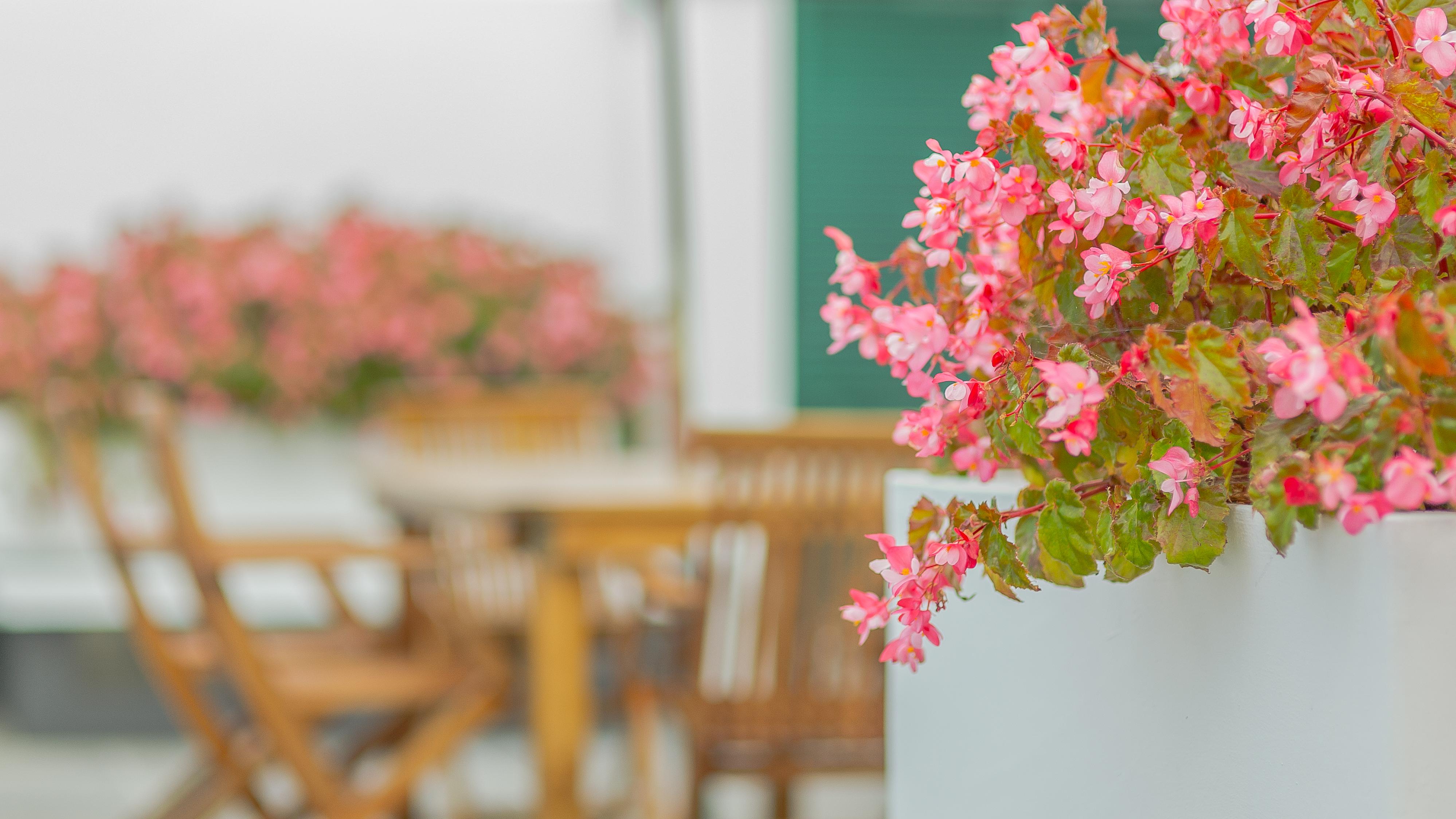 Comercial Boutique Guest House Ponta Delgada  Luaran gambar